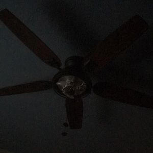 Meet your Posher, Blaine